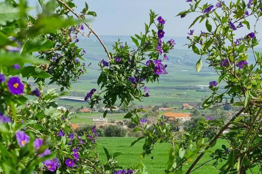 Suite Kolibri In Galilee Semadar Exterior foto